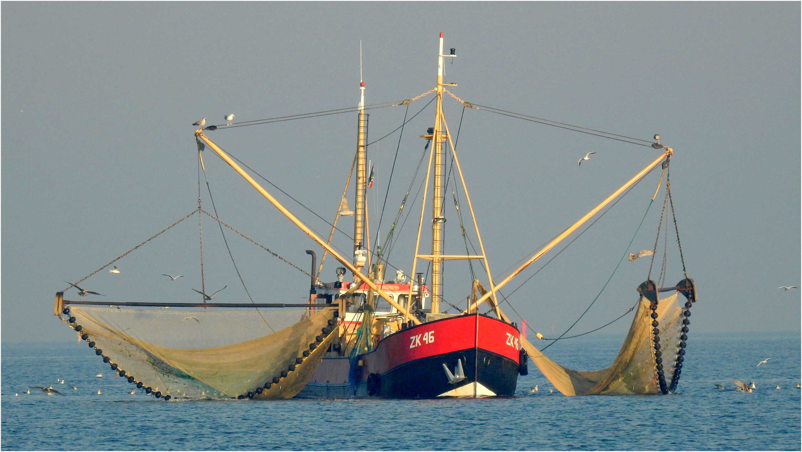 Kottervisserij draait zwaar in de verliezen, garnalenvisserij min 2 miljoen - Omroep Het Hogeland -