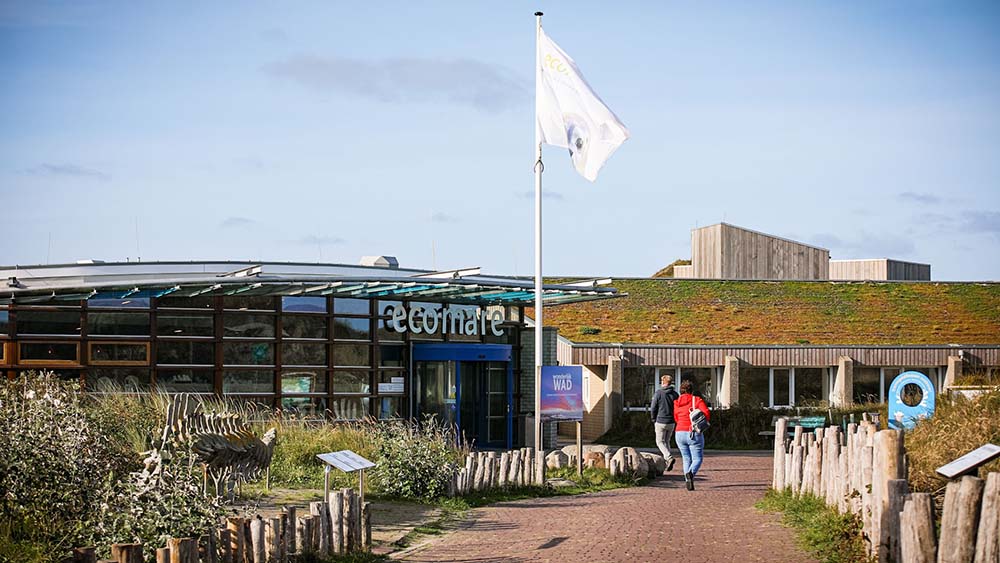 Ecomare Texel bereid te helpen bij dreigend faillissement WEC